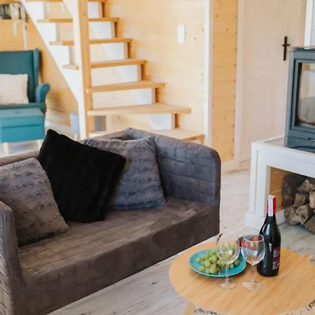 Holiday Stezyca Vakantiehuis Borucino (Kartuzy)